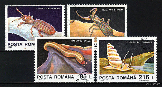1993 Румыния. Животные