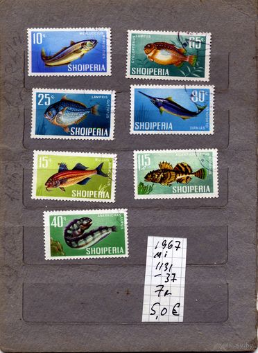 АЛБАНИЯ, 1967  РЫБЫ, серия 7м, гашен