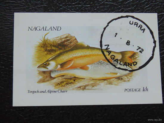 Индия  1972 г. Фауна.