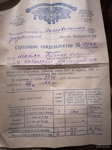 Страховка 51 год