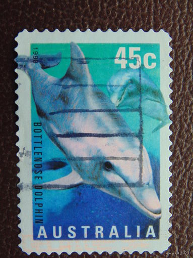 Австралия 1998 г. Морская фауна.