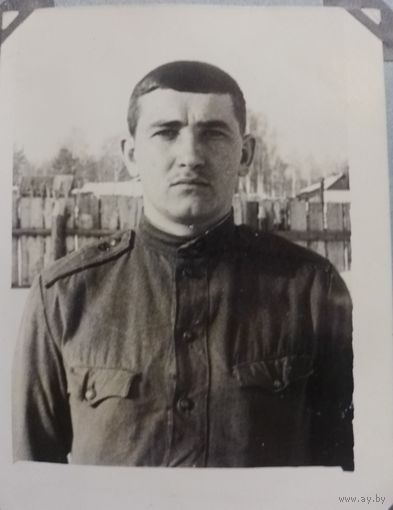 Фото в коллекцию