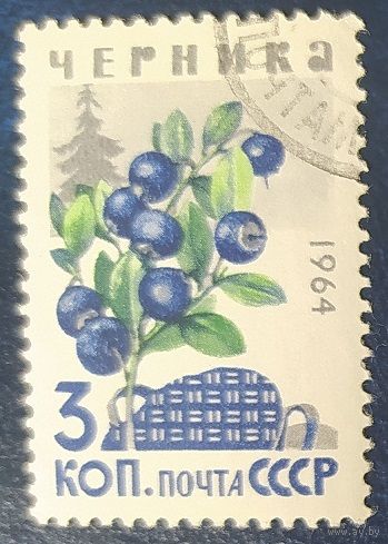 СССР 1964 черника, ягоды 1 из 7. наклейка