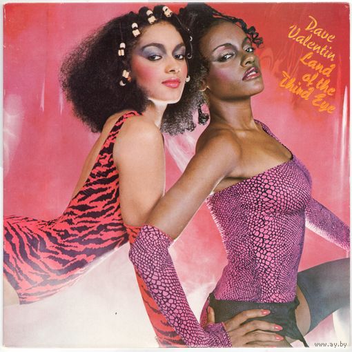 LP Dave Valentin 'Land of the Third Eye'