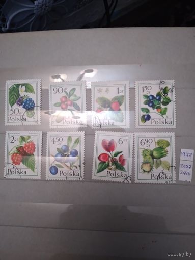 ПОЛЬША, 1977,  ЛЕСНЫЕ ЯГОДЫ,  серия   8м,  (справочно приведены номера и цены по  Michel)