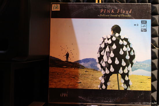 Pink Floyd - Delicate Sound Of Thunder 2 (1990, Vinyl)