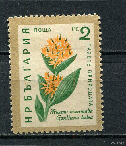 Болгария - 1960 - Цветы 2St - (есть тонкое место) - [Mi.1164] - 1 марка. MH.  (Лот 13Fo)-T25P22