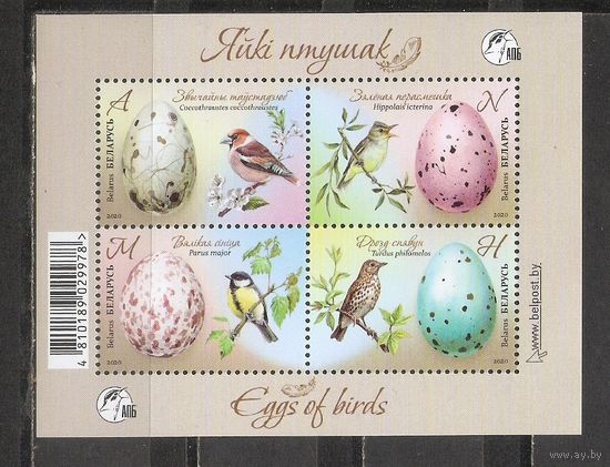 ФФ1 Беларусь 2020 Яйца птиц