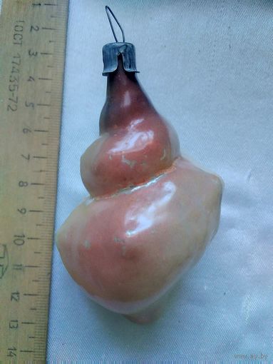 Ракушка большая.Каталог.