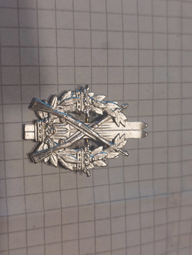 Значок стрельба на лыжах Швеция