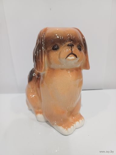 Все лоты с 1р.Собака ЛФЗ