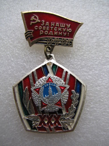 Значок. 30 лет Победы. За нашу Советскую Родину! 1941-1945 г. накладной