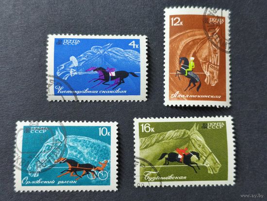 1968 СССР. Коневодство и конный спорт в СССР