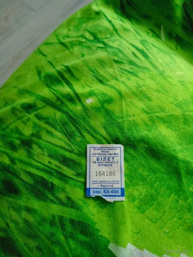 Талон на проезд (Борисов,серия БХ-008) 2023 год