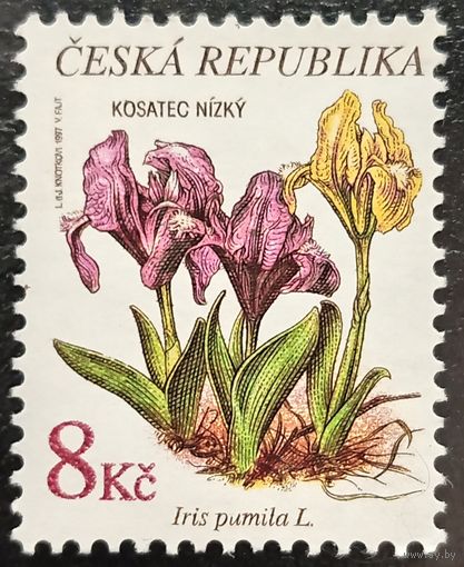 Чехия 1997. Флора. Цветы. Iris Pumila