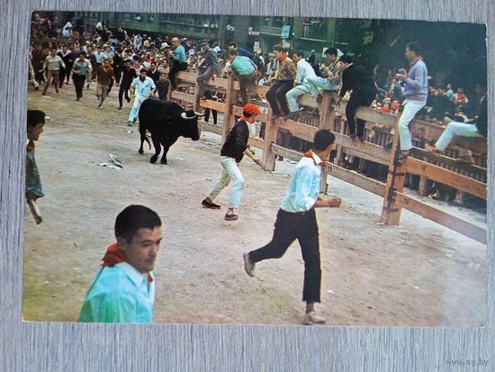 Этнография. Испания, памплона. Забег быков