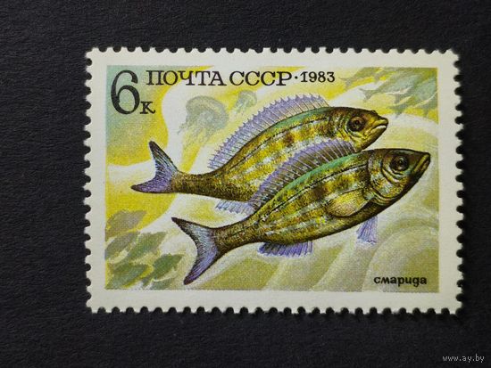 1983 СССР. Рыбы. 	Пятнистая зубатка
