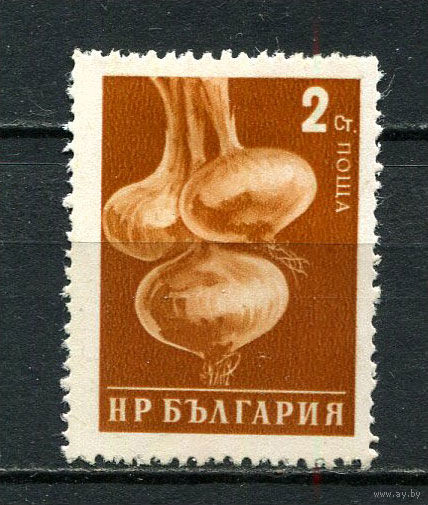 Болгария - 1958 - Овощи. Лук 2St - [Mi.1079] - 1 марка. MH.  (Лот 22FL)-T25P13