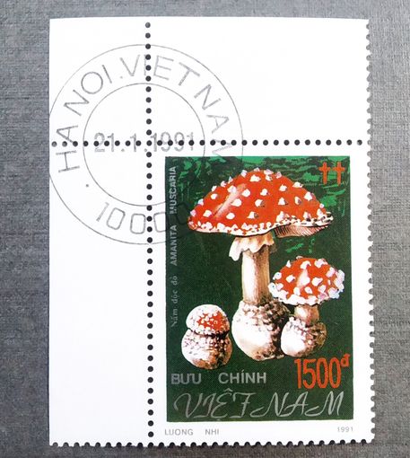 Марка Вьетнам 1991 год Грибы