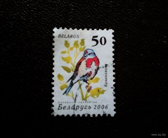 Марка Беларусь 2006 год Птица