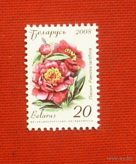 Беларусь. Стандарт. ( 1 марка ) 2008 года. 10-14.