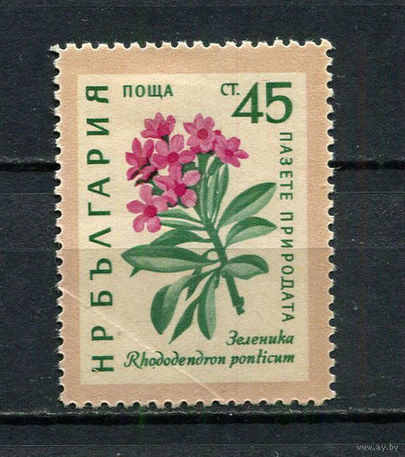 Болгария - 1960 - Цветы 45St - (есть тонкое место) - [Mi.1167] - 1 марка. MH.  (Лот 14Fo)-T25P22