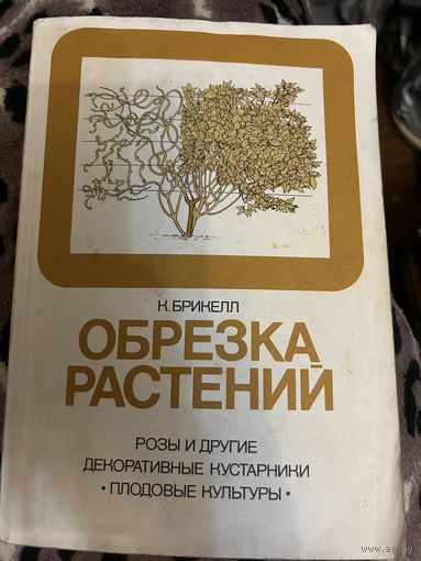 Обрезка растений Брикелл
