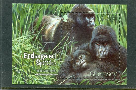 Великобритания. Гернси. Охраняемые виды животных. Восточная горилла. Блок