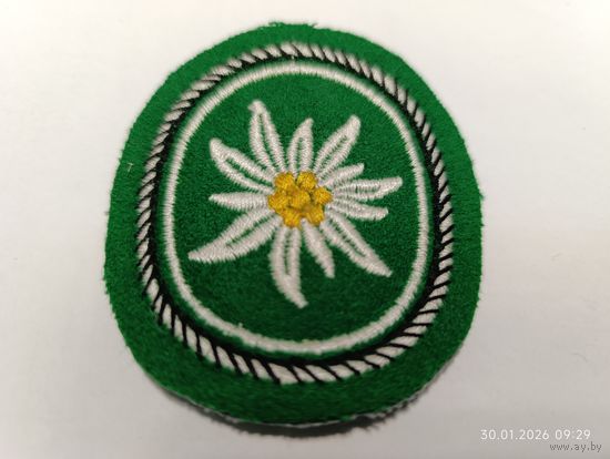 1-я горнопехотная дивизия Бундесвера