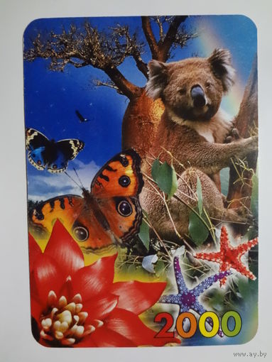 Календарик 2000 г. ИПП Новик.