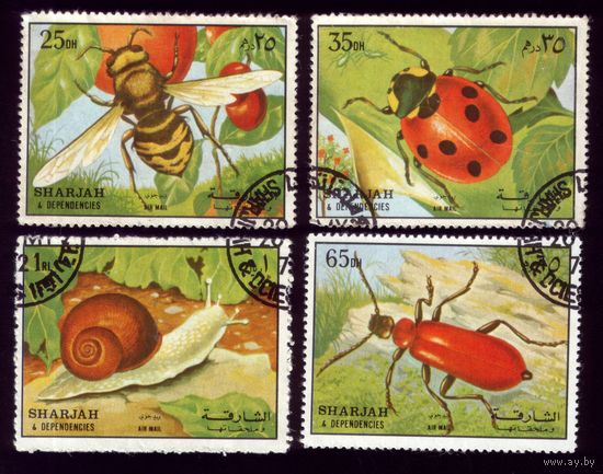 4 марка 1972 год Шарджа Фауна 1204-1205,1207-1208
