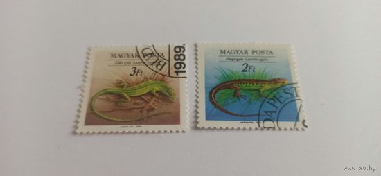 Венгрия 1989