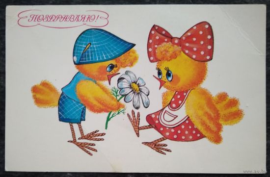 Макарова И. Поздравляю! 1991 г. Чистая