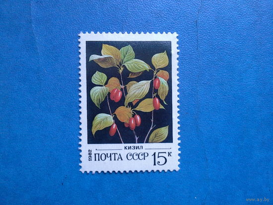 Ссср 1982. Кизил.