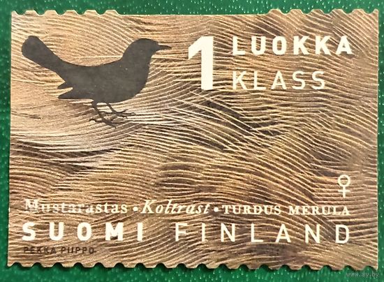 Финляндия. Фауна. Птицы. Turdus Meruta