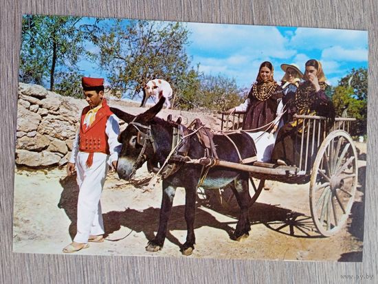 Этнография. Испания, Балеарские острова, Ибица. Типичная повозка