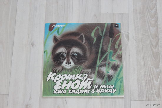 Пластинка, крошка енот и тот, кто сидит в пруду.