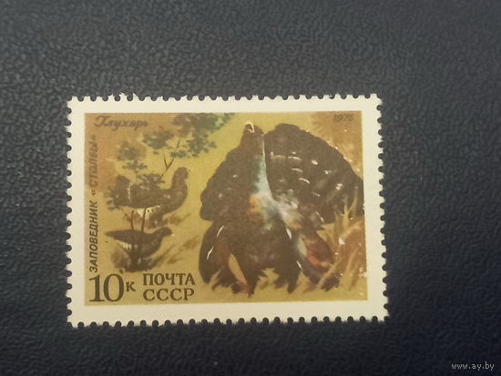 СССР 1975 г. Заповедник Столбы. Глухарь