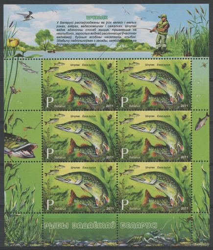 Беларусь 2011 #888. Лист Щука (6P)
