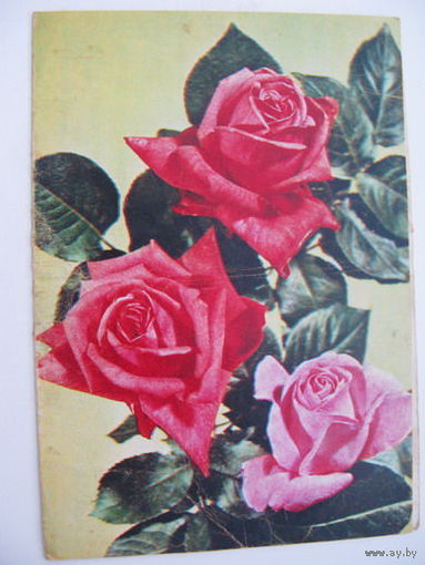 Телеграмма 1979 г.