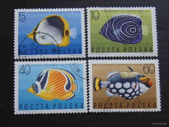 Польша 1967 г. Морская фауна.