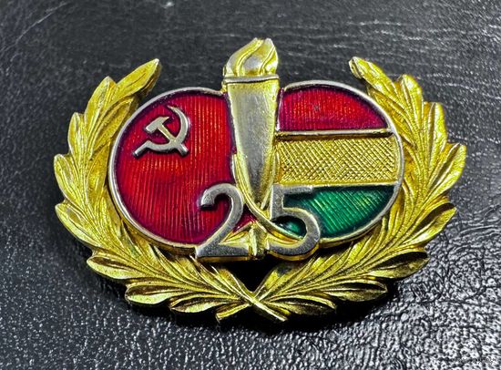 Значок. Общество Венгерско-Советской дружбы