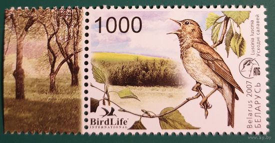 2007 Птица года в Беларуси - Соловей Беларусь
