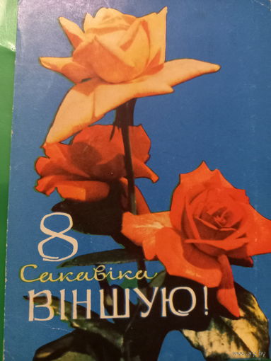 Ананьiны са Святам 8 сакавiка