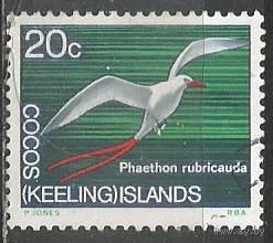 Кокосовые острова. Краснохвостый фаэтон. 1969г. Mi#16.