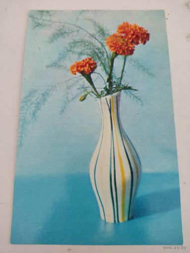 Открытка "Бархатцы", фото В.Кадышев, 1973г.