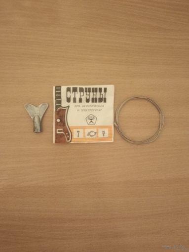 Ключ гитарный(струны нет). Почтой не высылаю.