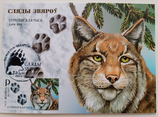 Картмаксимум "Рысь." Следы зверей.