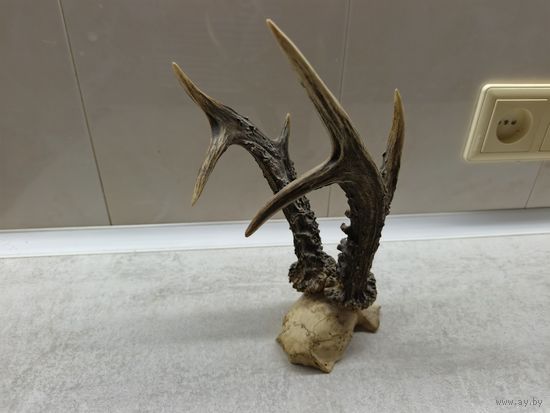 Рога. С 1 рубля!