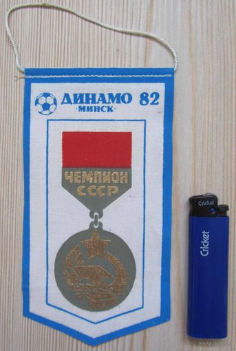 Вымпел Динамо Минск чемпион СССР 1982